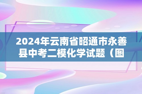 2024年云南省昭通市永善县中考二模化学试题（图片版含答案）