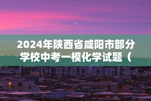 2024年陕西省咸阳市部分学校中考一模化学试题（PDF无答案）