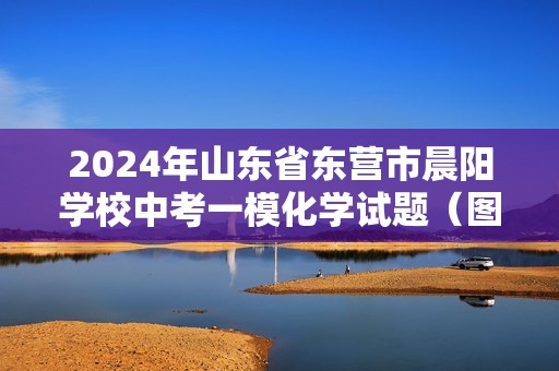 2024年山东省东营市晨阳学校中考一模化学试题（图片版无答案）