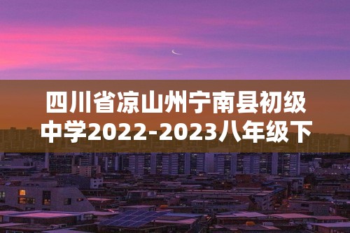 四川省凉山州宁南县初级中学2022-2023八年级下学期第二次月考历史试题（答案）