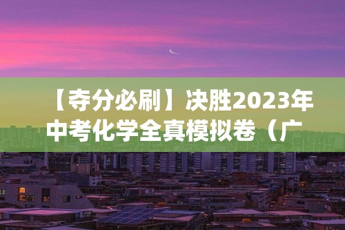 【夺分必刷】决胜2023年中考化学全真模拟卷（广东专用⑥）  (含解析)