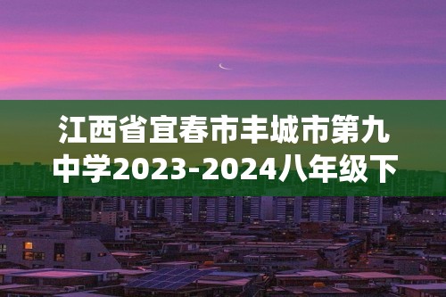 江西省宜春市丰城市第九中学2023-2024八年级下学期第一次月考数学试卷(含解析)
