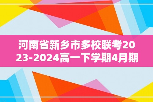 河南省新乡市多校联考2023-2024高一下学期4月期中考试化学试题（答案）