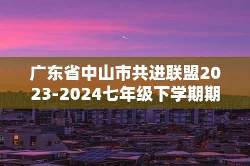 广东省中山市共进联盟2023-2024七年级下学期期中数学试题（无答案）