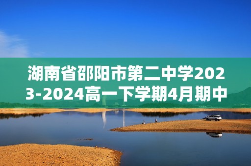 湖南省邵阳市第二中学2023-2024高一下学期4月期中考试化学试题（答案）