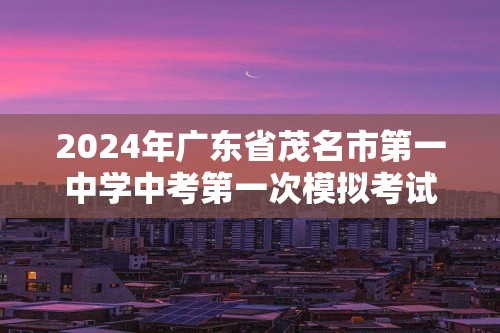 2024年广东省茂名市第一中学中考第一次模拟考试化学试卷（答案）