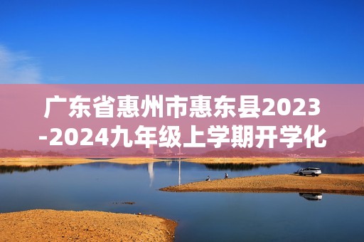 广东省惠州市惠东县2023-2024九年级上学期开学化学试题