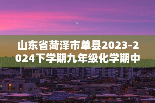 山东省菏泽市单县2023-2024下学期九年级化学期中试卷（图片版无答案）