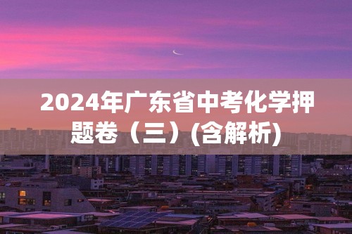 2024年广东省中考化学押题卷（三）(含解析)