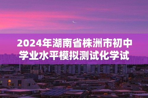 2024年湖南省株洲市初中学业水平模拟测试化学试题（答案）