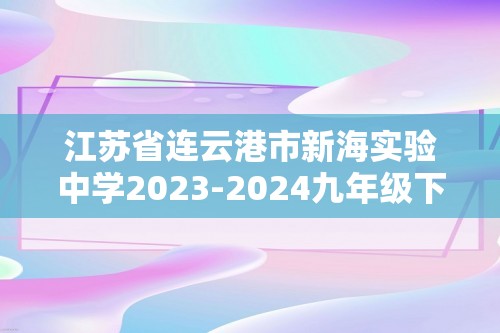 江苏省连云港市新海实验中学2023-2024九年级下学期期中考试数学试卷（含答案）