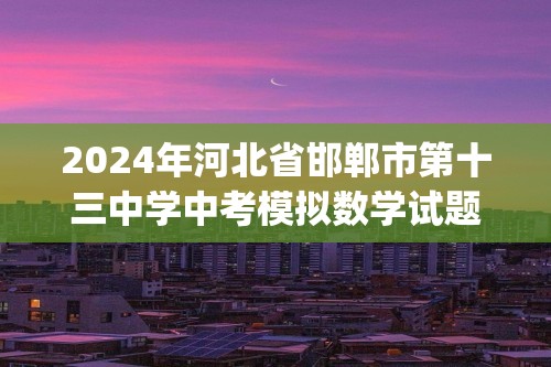 2024年河北省邯郸市第十三中学中考模拟数学试题(无答案)