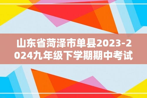 山东省菏泽市单县2023-2024九年级下学期期中考试化学试题（答案）