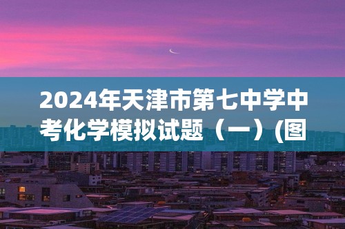 2024年天津市第七中学中考化学模拟试题（一）(图片版含答案)
