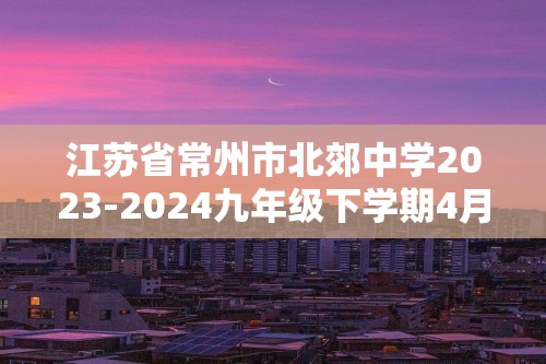 江苏省常州市北郊中学2023-2024九年级下学期4月教学情况调研化学试卷（一模）（图片版无答案）