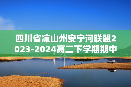 四川省凉山州安宁河联盟2023-2024高二下学期期中联考化学试题（含解析）