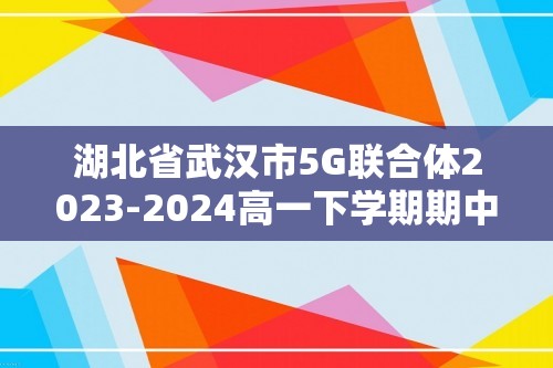 湖北省武汉市5G联合体2023-2024高一下学期期中数学试题（含答案）
