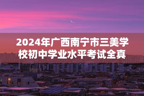 2024年广西南宁市三美学校初中学业水平考试全真模拟化学试题（四）（答案）