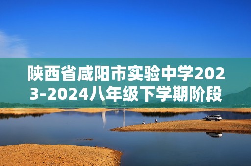 陕西省咸阳市实验中学2023-2024八年级下学期阶段性检测数学试卷（二）（含答案）