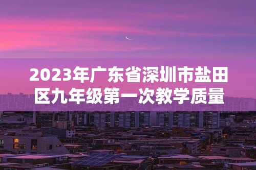 2023年广东省深圳市盐田区九年级第一次教学质量检测化学试题（答案）