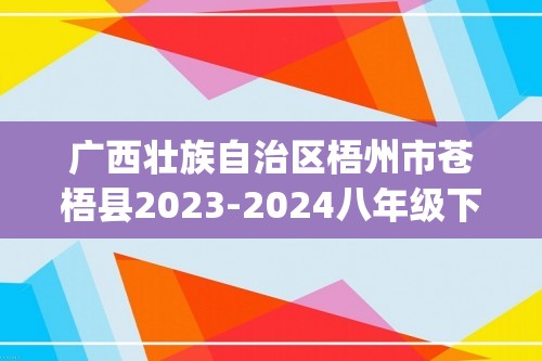 广西壮族自治区梧州市苍梧县2023-2024八年级下学期期中数学试题(含答案)