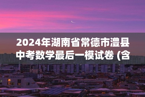 2024年湖南省常德市澧县中考数学最后一模试卷 (含解析)
