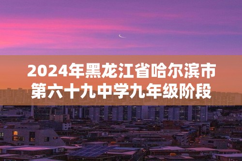2024年黑龙江省哈尔滨市第六十九中学九年级阶段性适应性测试化学试卷（一）（答案）
