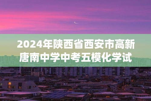 2024年陕西省西安市高新唐南中学中考五模化学试卷(图片版  无答案)