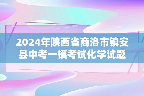 2024年陕西省商洛市镇安县中考一模考试化学试题（图片版 无答案）