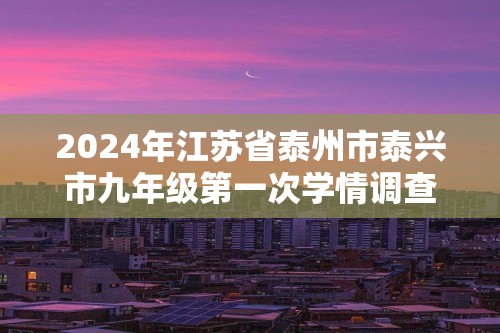 2024年江苏省泰州市泰兴市九年级第一次学情调查化学试题（原卷版+解析版）