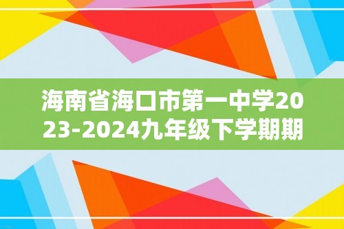 海南省海口市第一中学2023-2024九年级下学期期中考试化学试题B卷（原卷版+解析版）